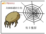 塵螨為蜘蛛綱的生物,塵螨有八隻腳
